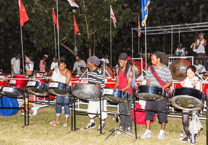 2014 Trinidad Small Bands Panorama Semifinals -1.jpg
