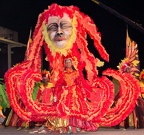 Trinidad Carnival 2011 Photographs