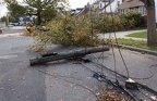 Hurricane Sandy Aftereffects 11/4/2012