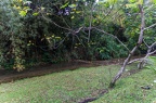 River Lime in Lopinot, Trinidad - 2013