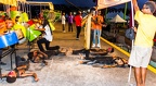 Trinidad Carnival 2014 Photographs