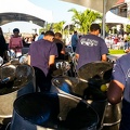 Adlib Steel Orchestra Long Beach NY Cookout